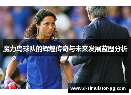 魔力鸟球队的辉煌传奇与未来发展蓝图分析